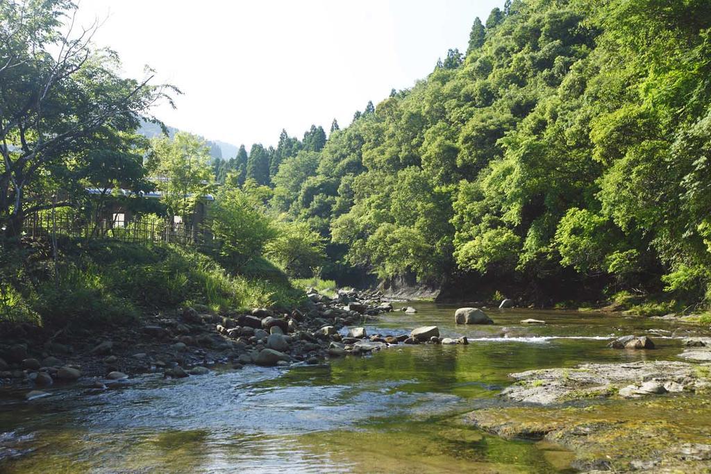 Nemu No Hana Нитинан Экстерьер фото